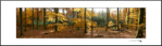 Panoramiques